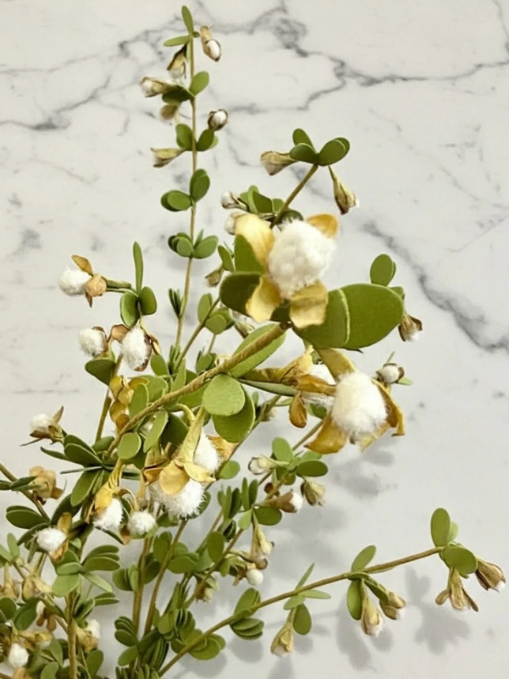 Glass Bottle Vase & Boxwood Floral Stems